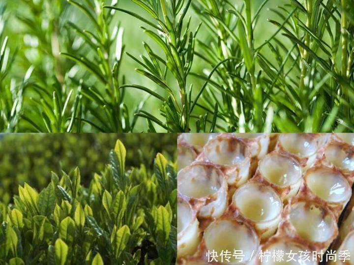 适合学生党的“性价比”款洗面奶，不吃土也买得起，你用过哪款？