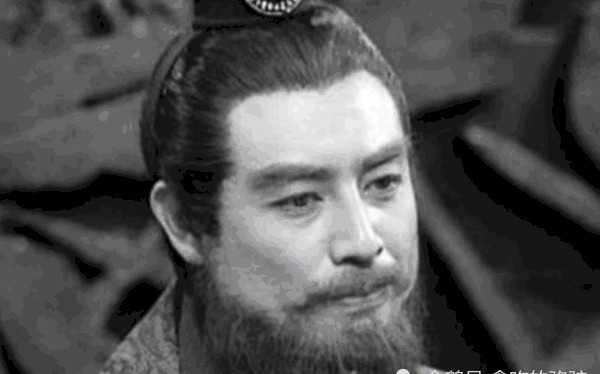 诸葛亮的大哥为何会去东吴?因何被孙权