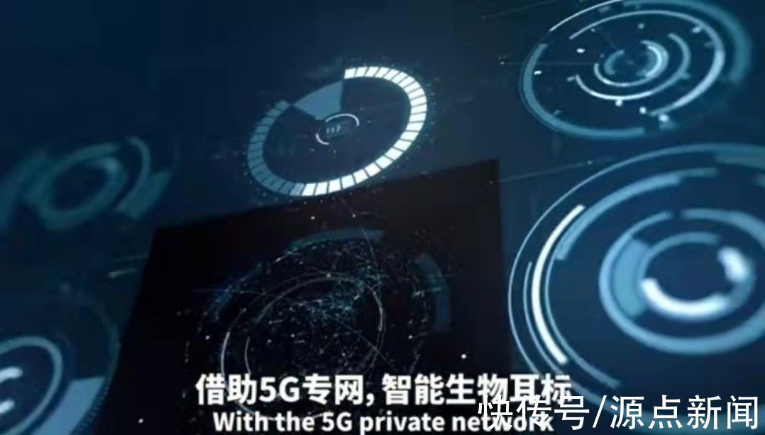 华农|上热榜!网红华农兄弟千里偷师“中国5G养猪”,中兴通讯5G火了