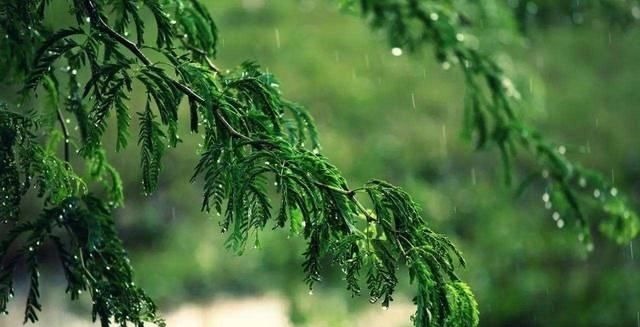 妙语&一生写诗2万余首的诗人,28字写小雨,最后7个字乃是一句妙语