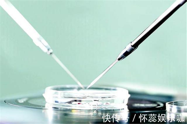 试管婴儿|做试管婴儿第4次才成功，准妈妈坦言：孩子有了，但我很后悔