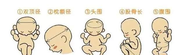孕妈们|想顺产胎儿的双顶径有何要求？最好别超出此范围，否则分娩风险大