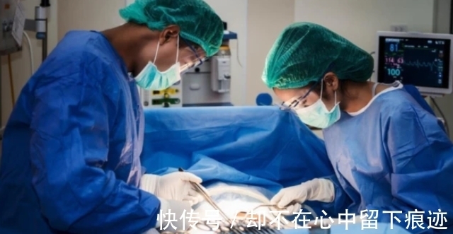 加速剂|3种食物是血脂的“加速剂”，高血脂若多吃，血管或会水泄不通