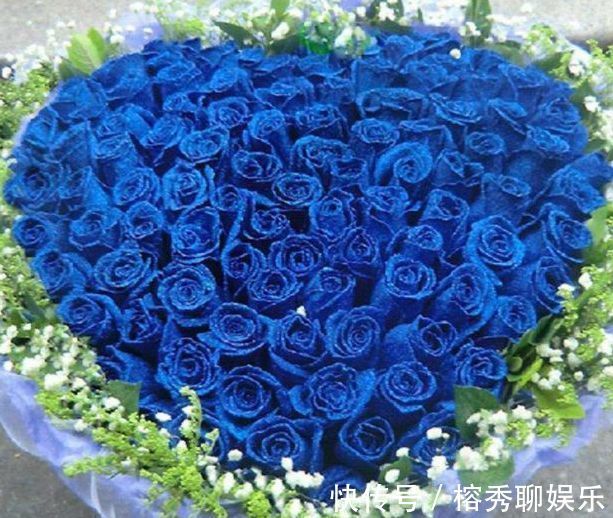 花卉|喜欢玫瑰,不如养盆“珍稀品种”蓝色妖姬,花中新贵,妖艳迷人!