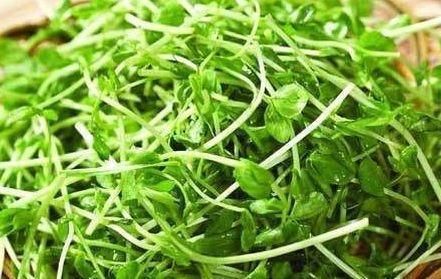 女性到了中年，3种食物不错过，排毒养颜，有益健康