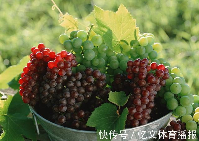 桂圆|四类水果要少吃,虽然很可口,但对孕妇并不好,易引发滑胎