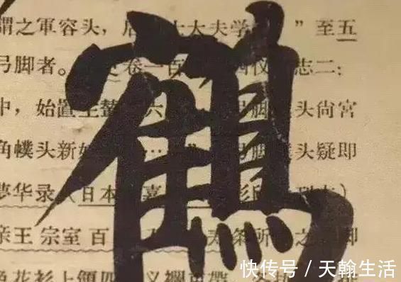 书体#启功在废旧纸张上练字作品,颠覆你的审美观,用笔率真,笔笔惊艳