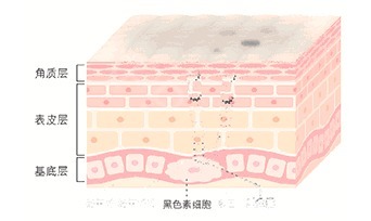 越是漂亮,越是更爱漂亮美白神器TA来了