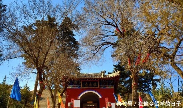 真谛|清华美女出家为尼,试图参悟宇宙真谛,却意外收养了26个孤儿