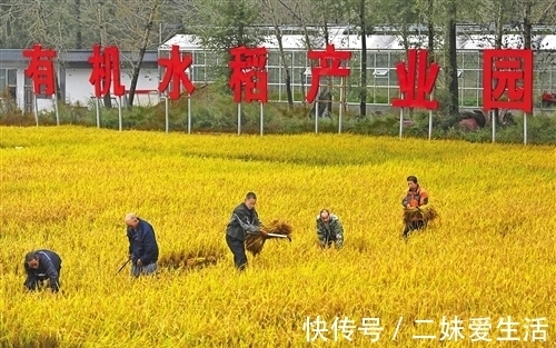 乡村|好风景带来好光景