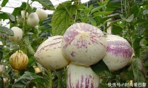 女性不愿顯老，多吃三種食物，排毒抗衰，滋補身體，增強抵抗力