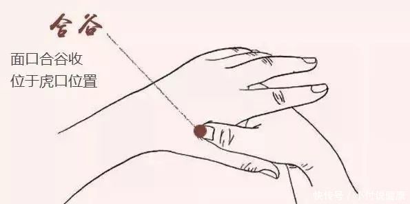 脱发区靠|按摩有助生发?