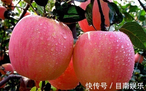 桃子|最养女人的3种水果,女人睡前吃两个,补血气抗衰老,美白去皱