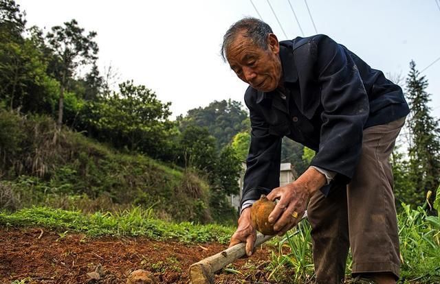 老刘头|如何让子女心甘情愿照顾老人?78岁老人的做法,让人敬佩