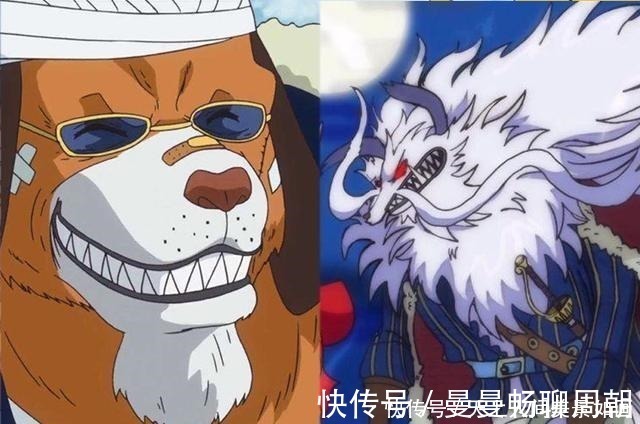 艾尼路|海贼王哪些角色变身前后“判若两人”犬岚公爵哈士奇变藏獒