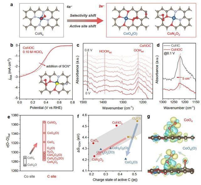 乔教授 阿德莱德大学乔世璋教授JACS：道法自然，单原子催化剂活性位的新认识