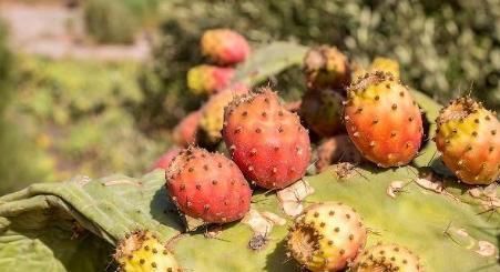 碱性|女性过了45岁,要多吃3种碱性食物,帮你补充雌激素,皮肤水嫩