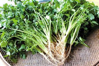 芫荽也叫香菜，是种中药，能治好多疾病。不明白为啥有人不喜欢吃