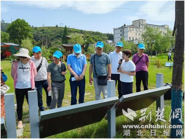 绿水青山就是金山银山|十堰市张湾区高校教授进湿地 共享生态盛宴