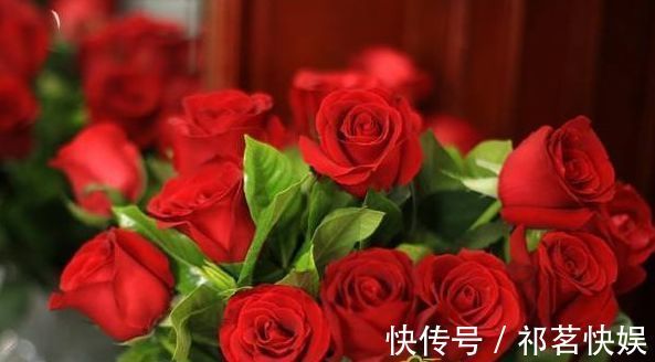 喜欢玫瑰,不如首选珍稀玫瑰“卡罗拉”,花开红如焰火,绚丽典雅