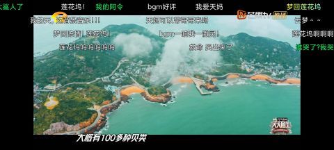 天天向上|《天天向上》驚現(xiàn)《陳情令》插曲，彈幕網(wǎng)友淚崩：久違了，蓮花塢