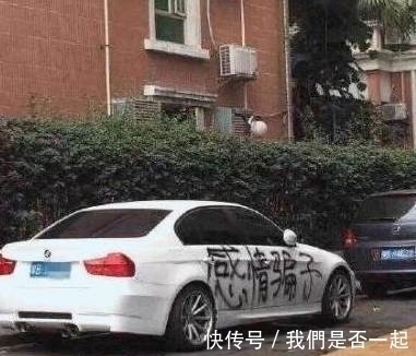 |搞笑图片幽默段子笑话:哈哈哈,喵咪会用吸管嘛,厉害了