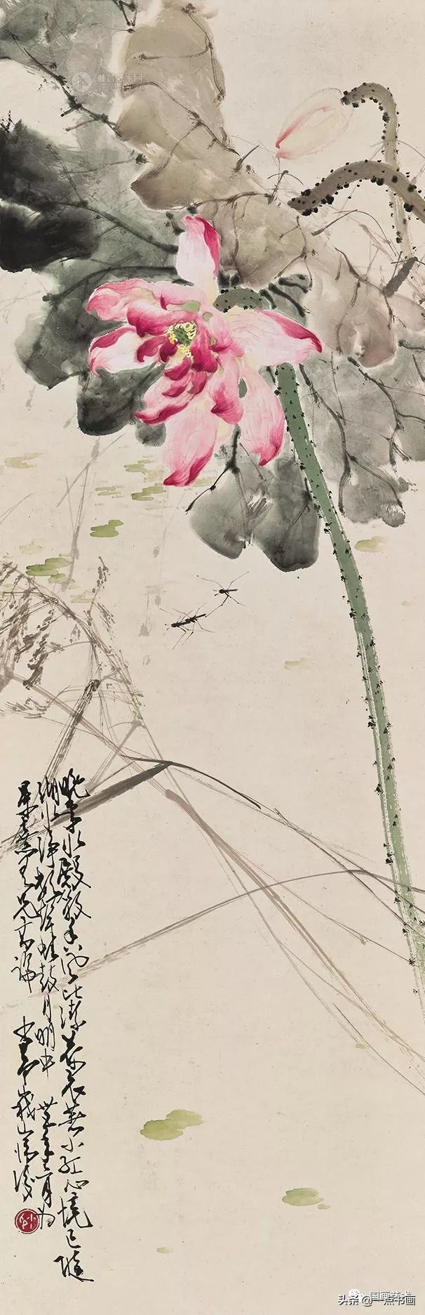 花形|赵少昂 荷画欣赏与画荷经验谈