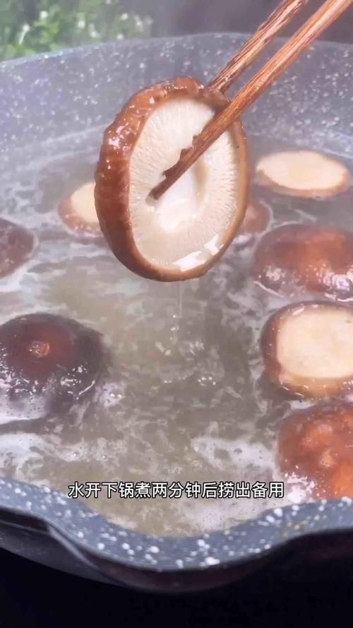  不用|胃不好不用怕，冬季常吃此菜，健胃理气又驱寒，肠胃变得越来越好