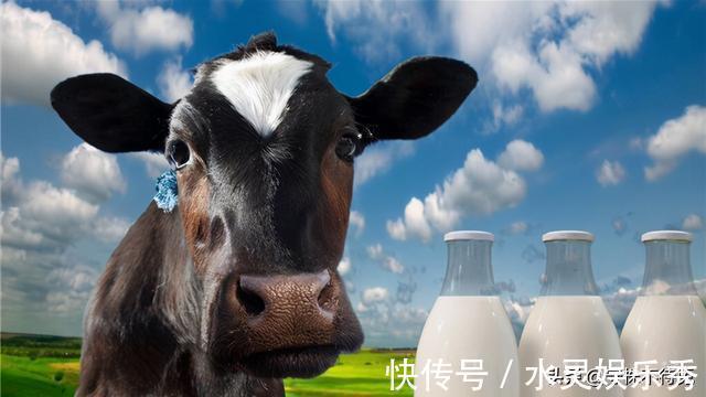 鼓膜|24个冷知识：真实存在于世界，可以使人博学的有趣知识