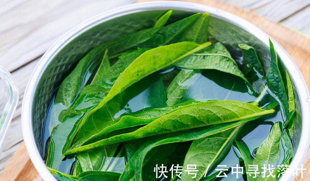 芝麻|芝麻叶你吃过吗不仅美味下饭，且还是个宝贝，受到大家的青睐！