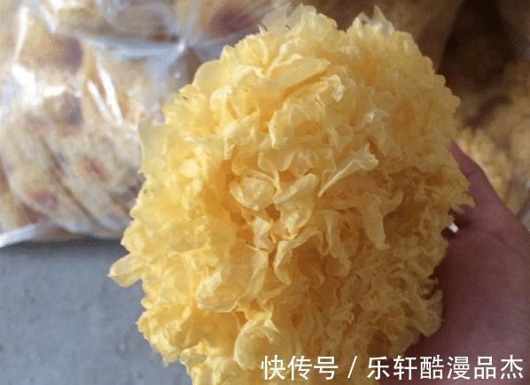 胶质|三伏天里,骨汤靠边站,多做这道甜汤,好喝不腻,常喝气色好