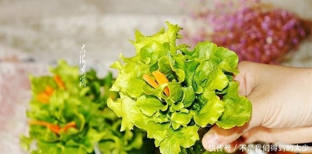 娘俩的午餐,1凉1热1生菜,晒朋友圈火了,网友:只要生菜