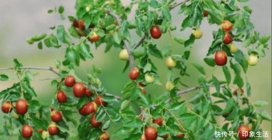 回忆|童年的回忆,吃过3种的叫叔叔,全部吃过的叫爷爷