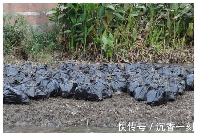 钓鱼|钓鱼破坏性太强,应该推行全国禁钓!钓鱼人得罪了谁?