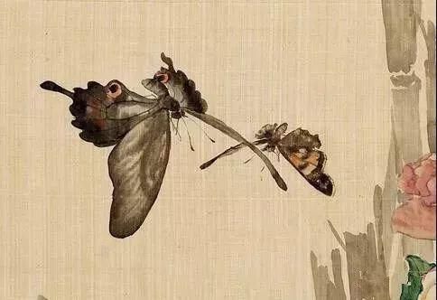 俞致贞|收藏!国画蝴蝶纸上来感觉蝴蝶在动,太逼真了!