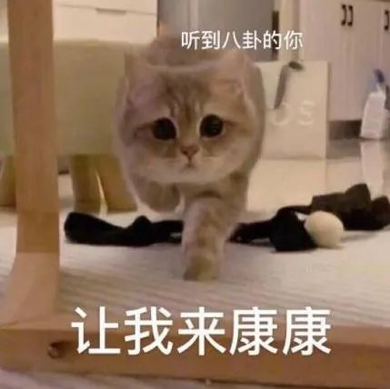 宋妍霏|露营变成“过家家”？黄景瑜陈学冬董又霖露营之旅太搞笑