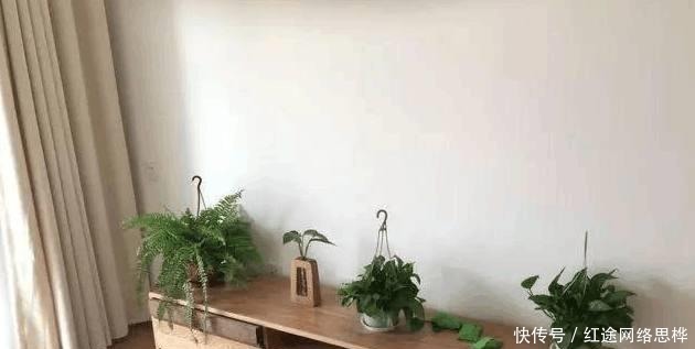 大白墙|新房装修不吊顶只刷大白墙,一不小心成小区最好,邻居挤爆来学!