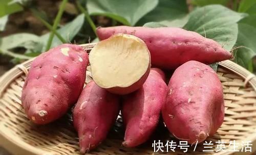 燃脂|减肥期间多吃6种食物,早上准时上厕所,大肚腩悄悄没了!