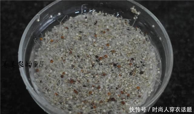 白萝卜|不用和面不用揉,早餐吃它最省事,维C超丰富,薄皮馅大最爽口!