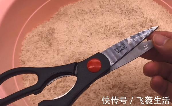 抓紧把剪刀插进大米里，真是厉害了，现在知道还不晚，快告诉家人
