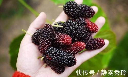 血糖生成指数|经常吃桑葚，到底是升血糖还是降血糖终于有营养师说正确吃法了