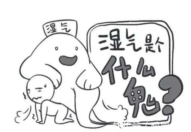 功效|体内有湿气排不出 别急, 常吃这几种食物, 让你跟湿气说拜拜