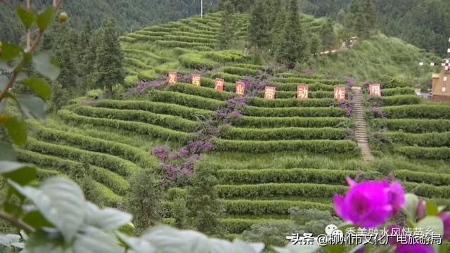 双龙沟|带着105℃的热爱，来融水过夏天吧！