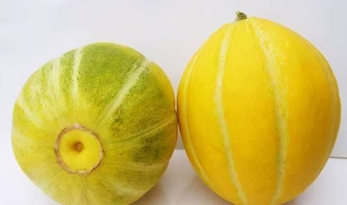 康普|女性坚持吃的食物，增强食欲，调理肠胃，加速肠胃蠕动，肌肤好