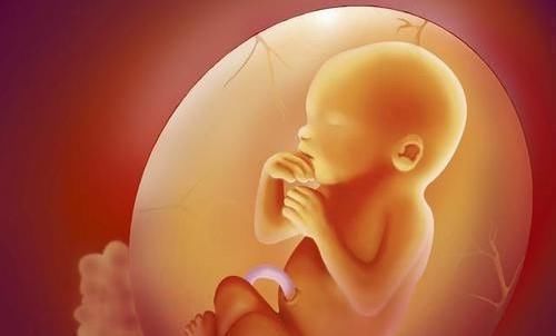 营养品|女子怀孕11个月还未生产,紧急送医后全家痛哭,医生太愚昧了