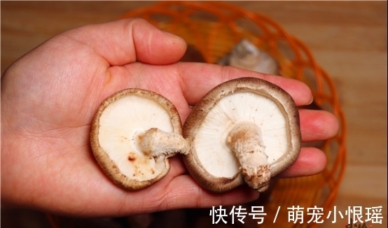 菜贩子|买香菇时,看见这几种建议不要买,菜贩子从来不吃,涨知识了?!