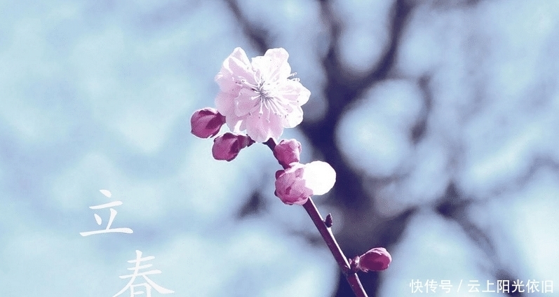 农村俗语“牛年无春,饿断人筋”啥意思?明年收成如何?看完懂了