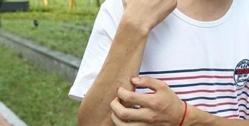 蛋白质|每天一个鸡蛋,到底是早上吃好,还是晚上吃好?医生解答了