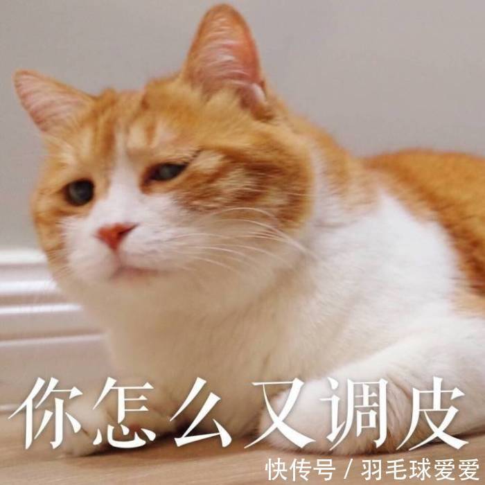 |搞笑GIF趣图:可爱妹子,对小朋友这么吝啬啊