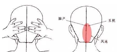 头晕头痛|国医大师邓铁涛：我的作息时间表里，藏着你想知道的养生秘密！